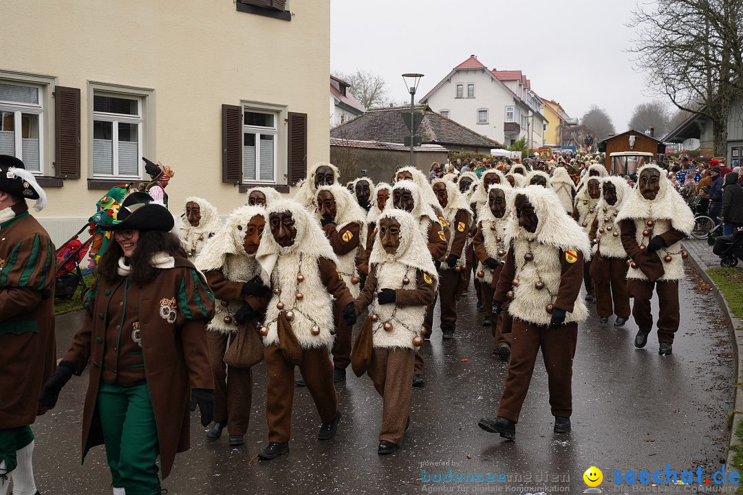 Fasnetsumzug: Heiligenberg am Bodensee, 08.01.2023