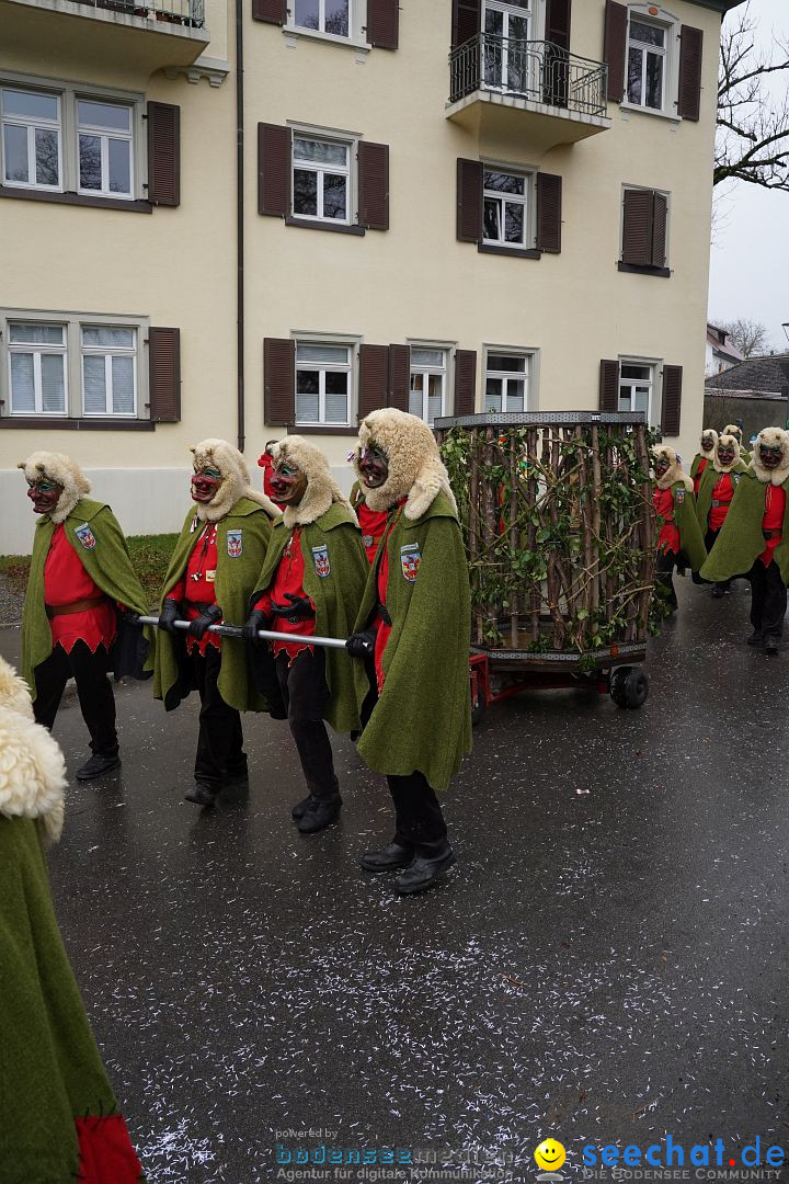 Fasnetsumzug: Heiligenberg am Bodensee, 08.01.2023