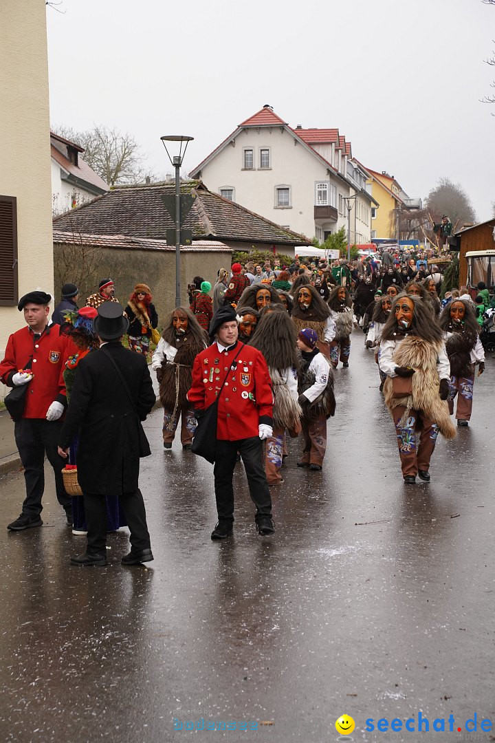 Fasnetsumzug: Heiligenberg am Bodensee, 08.01.2023