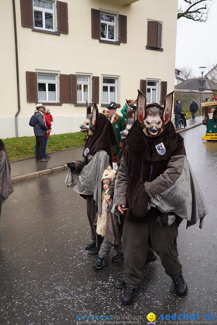 Fasnetsumzug: Heiligenberg am Bodensee, 08.01.2023