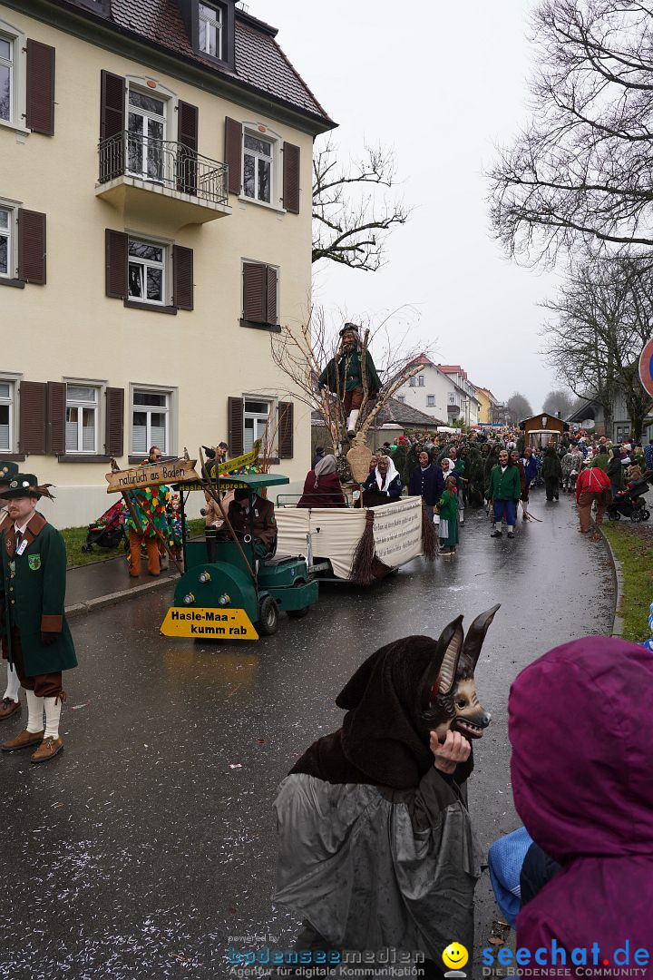 Fasnetsumzug: Heiligenberg am Bodensee, 08.01.2023