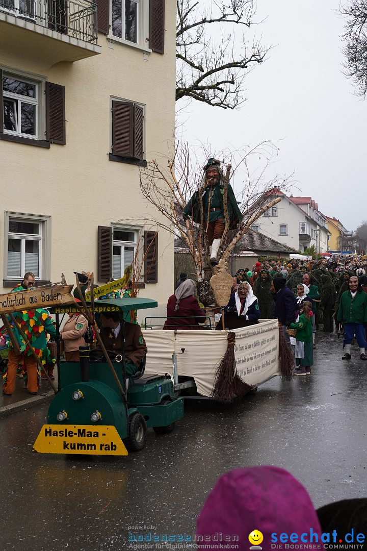 Fasnetsumzug: Heiligenberg am Bodensee, 08.01.2023