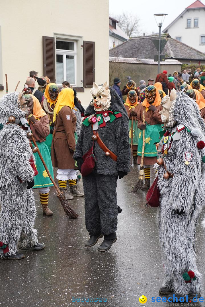 Fasnetsumzug: Heiligenberg am Bodensee, 08.01.2023