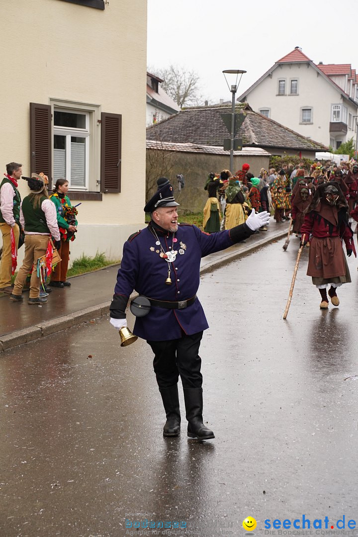 Fasnetsumzug: Heiligenberg am Bodensee, 08.01.2023