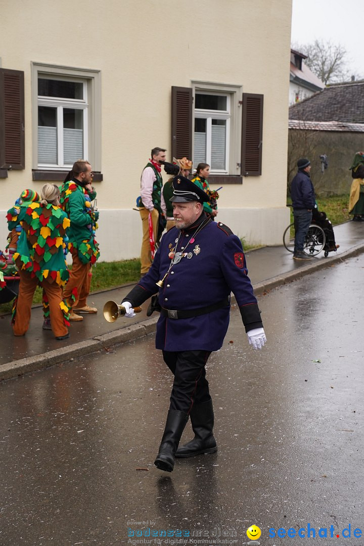 Fasnetsumzug: Heiligenberg am Bodensee, 08.01.2023