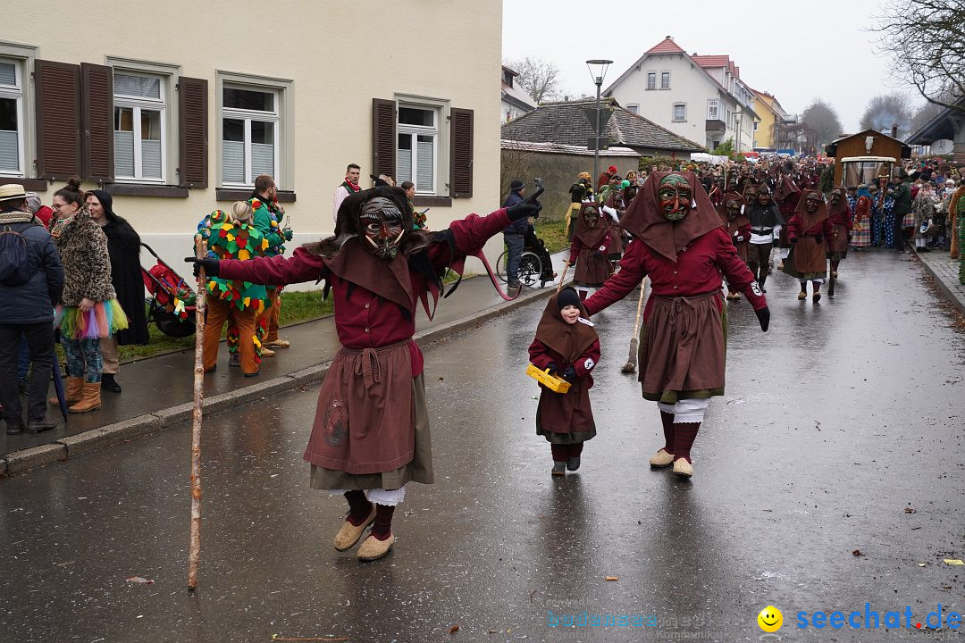 Fasnetsumzug: Heiligenberg am Bodensee, 08.01.2023