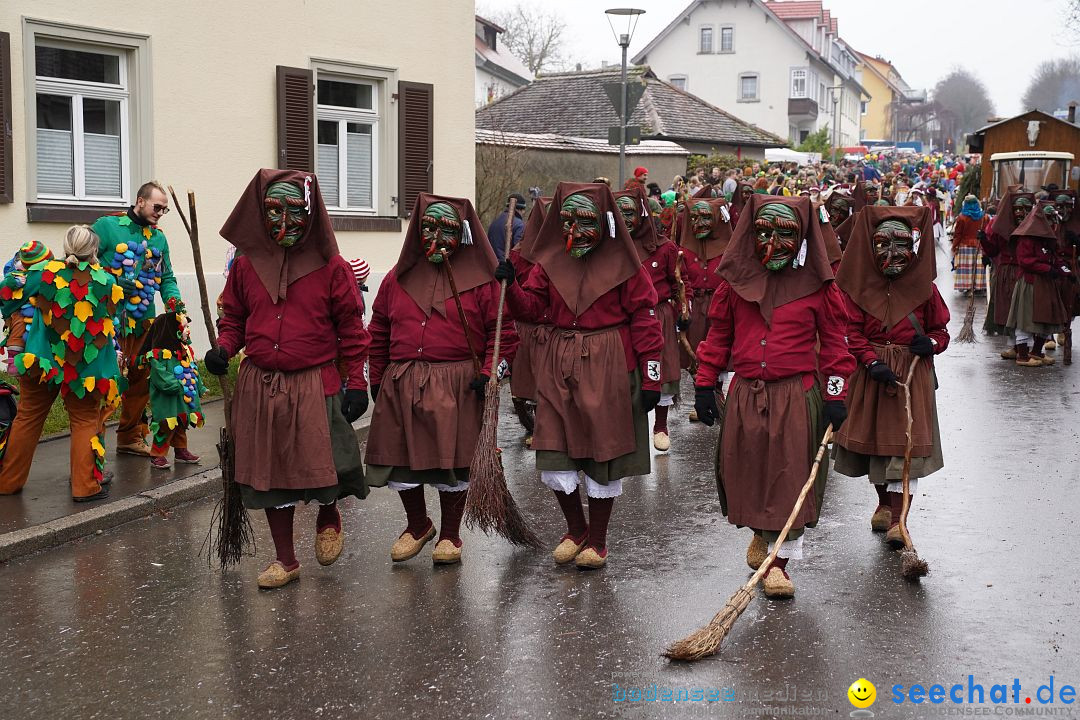 Fasnetsumzug: Heiligenberg am Bodensee, 08.01.2023