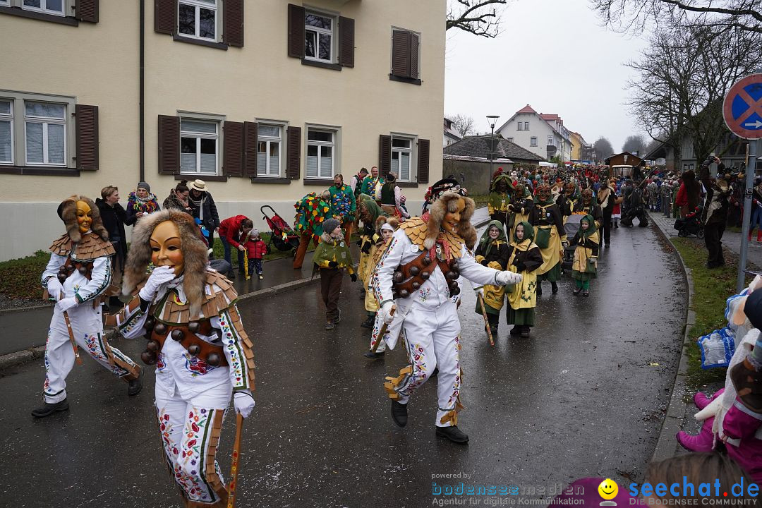 Fasnetsumzug: Heiligenberg am Bodensee, 08.01.2023