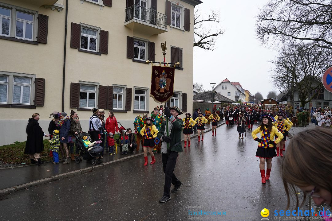 Fasnetsumzug: Heiligenberg am Bodensee, 08.01.2023