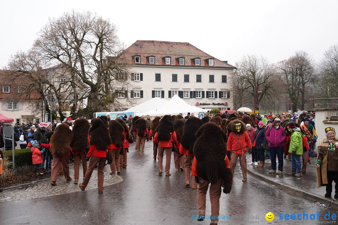 Fasnetsumzug: Heiligenberg am Bodensee, 08.01.2023