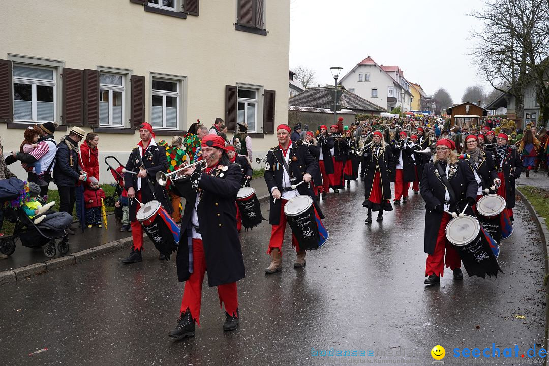 Fasnetsumzug: Heiligenberg am Bodensee, 08.01.2023