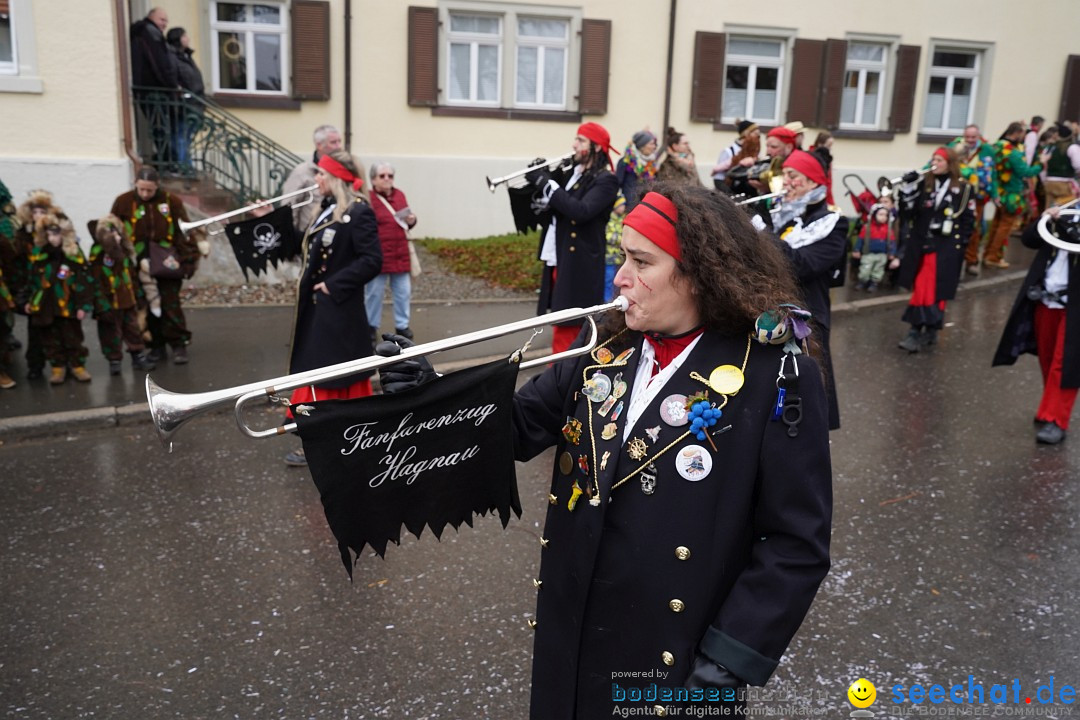 Fasnetsumzug: Heiligenberg am Bodensee, 08.01.2023