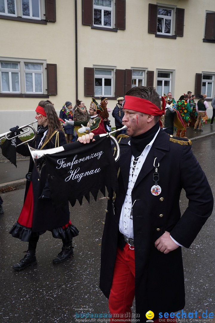 Fasnetsumzug: Heiligenberg am Bodensee, 08.01.2023