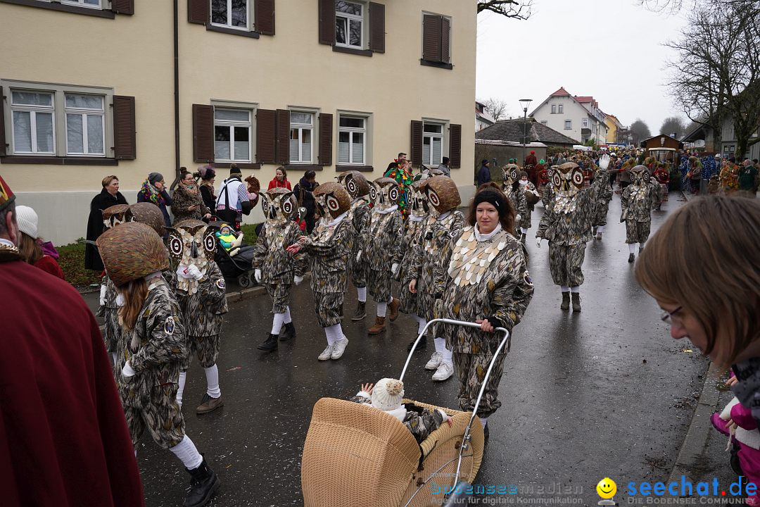 Fasnetsumzug: Heiligenberg am Bodensee, 08.01.2023