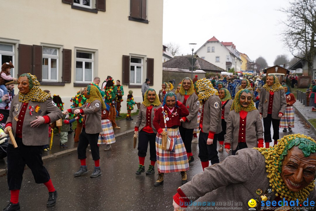 Fasnetsumzug: Heiligenberg am Bodensee, 08.01.2023