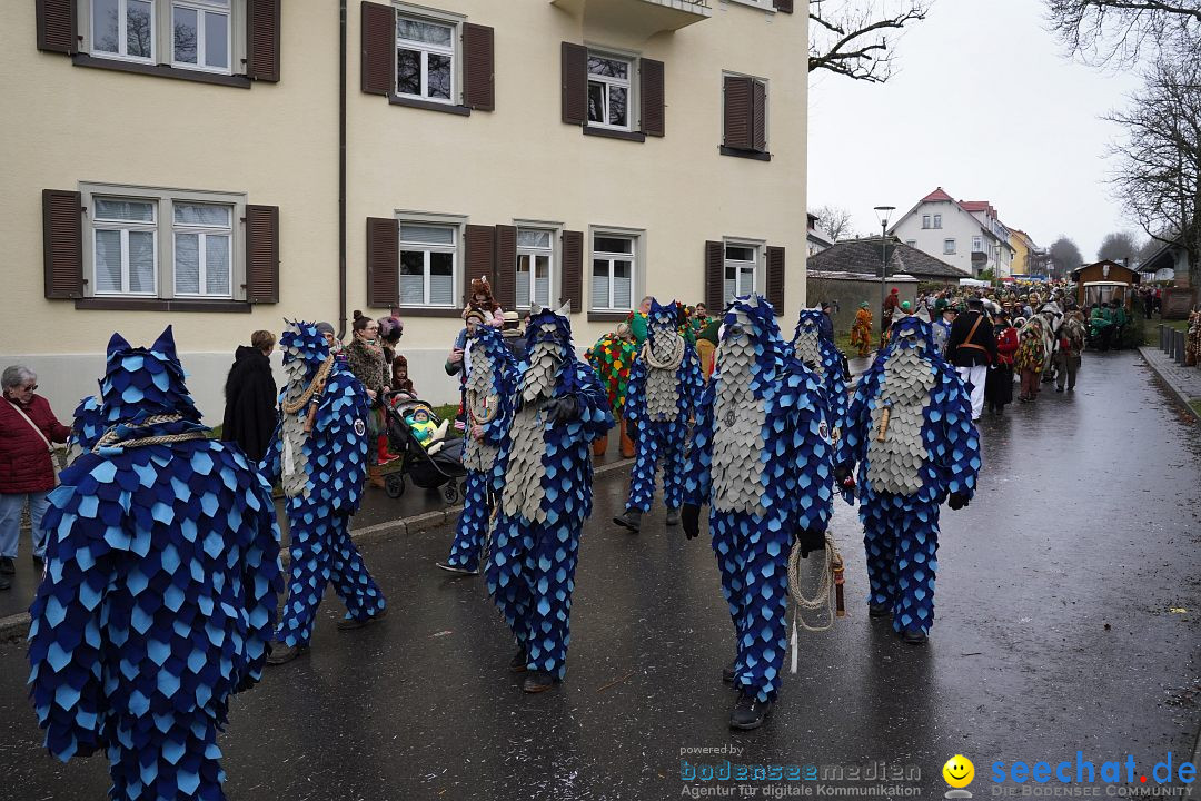 Fasnetsumzug: Heiligenberg am Bodensee, 08.01.2023