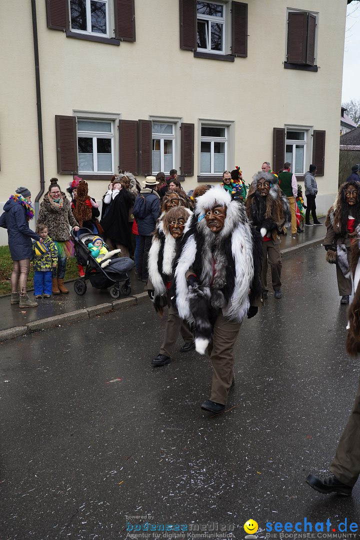 Fasnetsumzug: Heiligenberg am Bodensee, 08.01.2023