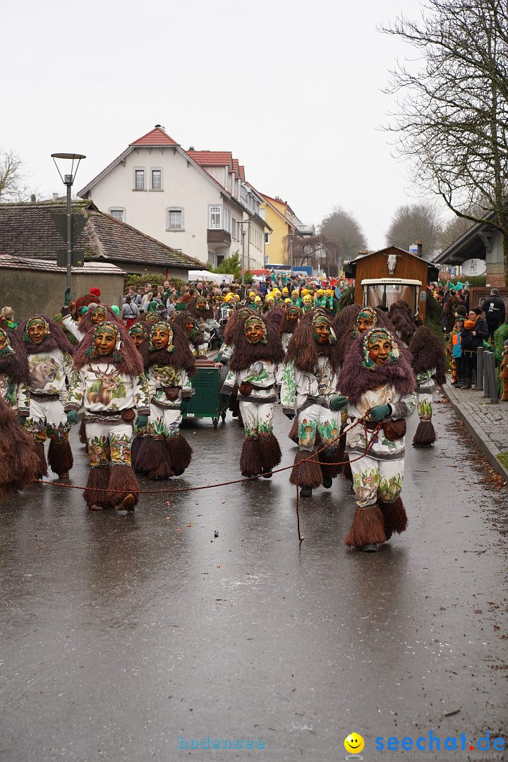 Fasnetsumzug: Heiligenberg am Bodensee, 08.01.2023