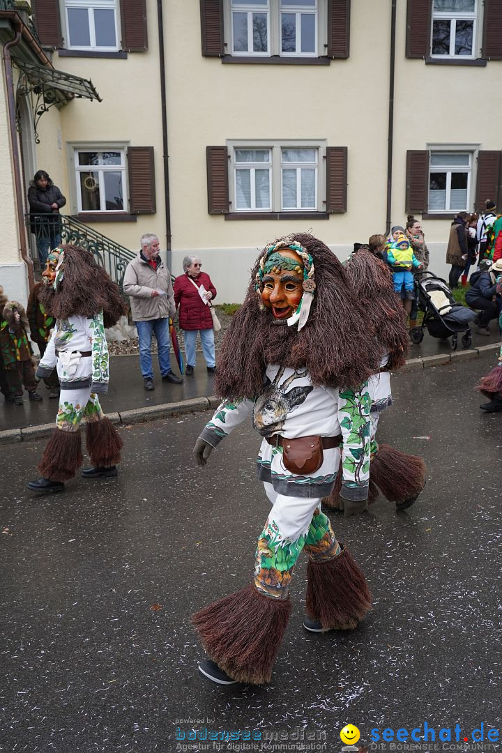 Fasnetsumzug: Heiligenberg am Bodensee, 08.01.2023