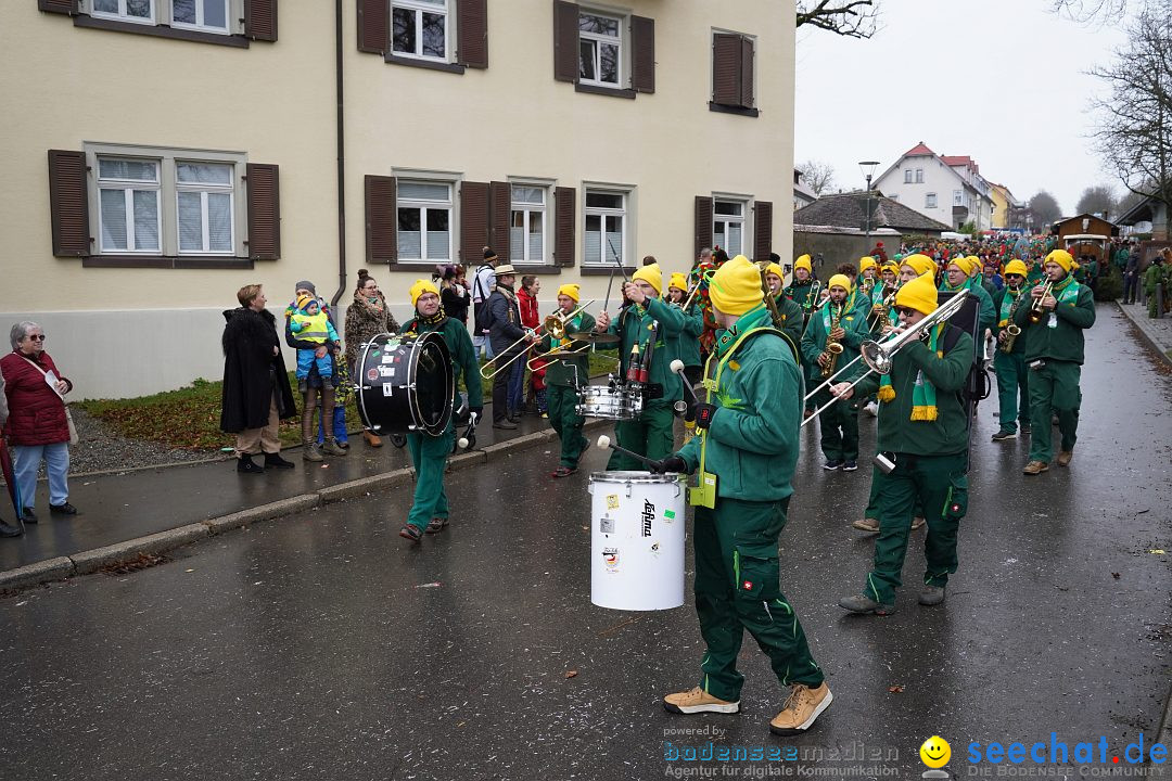 Fasnetsumzug: Heiligenberg am Bodensee, 08.01.2023