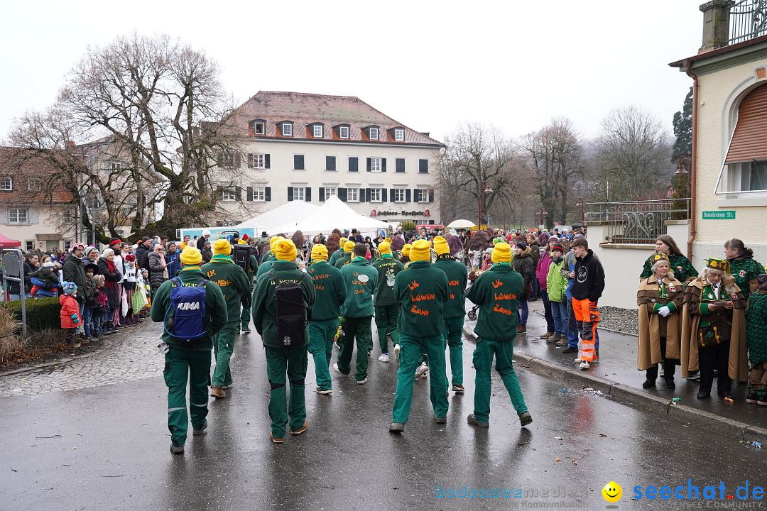 Fasnetsumzug: Heiligenberg am Bodensee, 08.01.2023