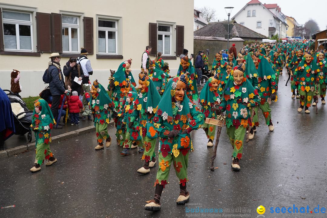 Fasnetsumzug: Heiligenberg am Bodensee, 08.01.2023