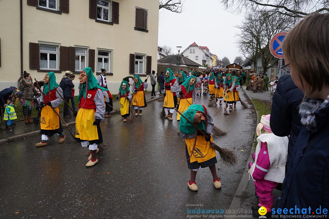 Fasnetsumzug: Heiligenberg am Bodensee, 08.01.2023