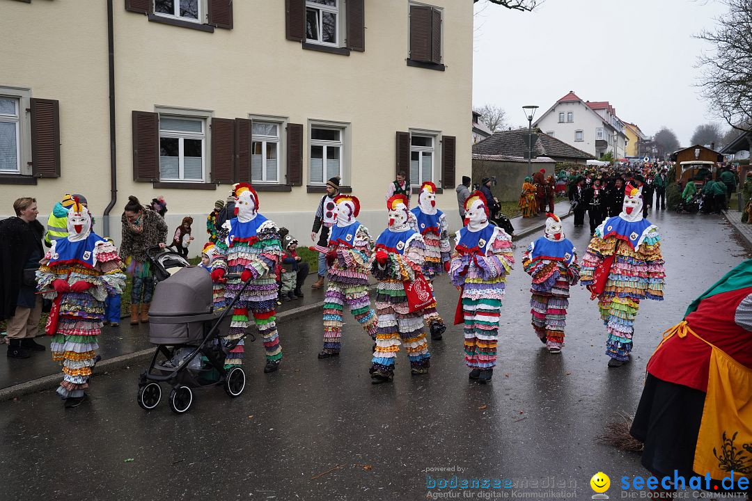 Fasnetsumzug: Heiligenberg am Bodensee, 08.01.2023