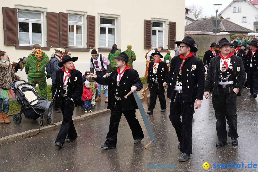 Fasnetsumzug: Heiligenberg am Bodensee, 08.01.2023