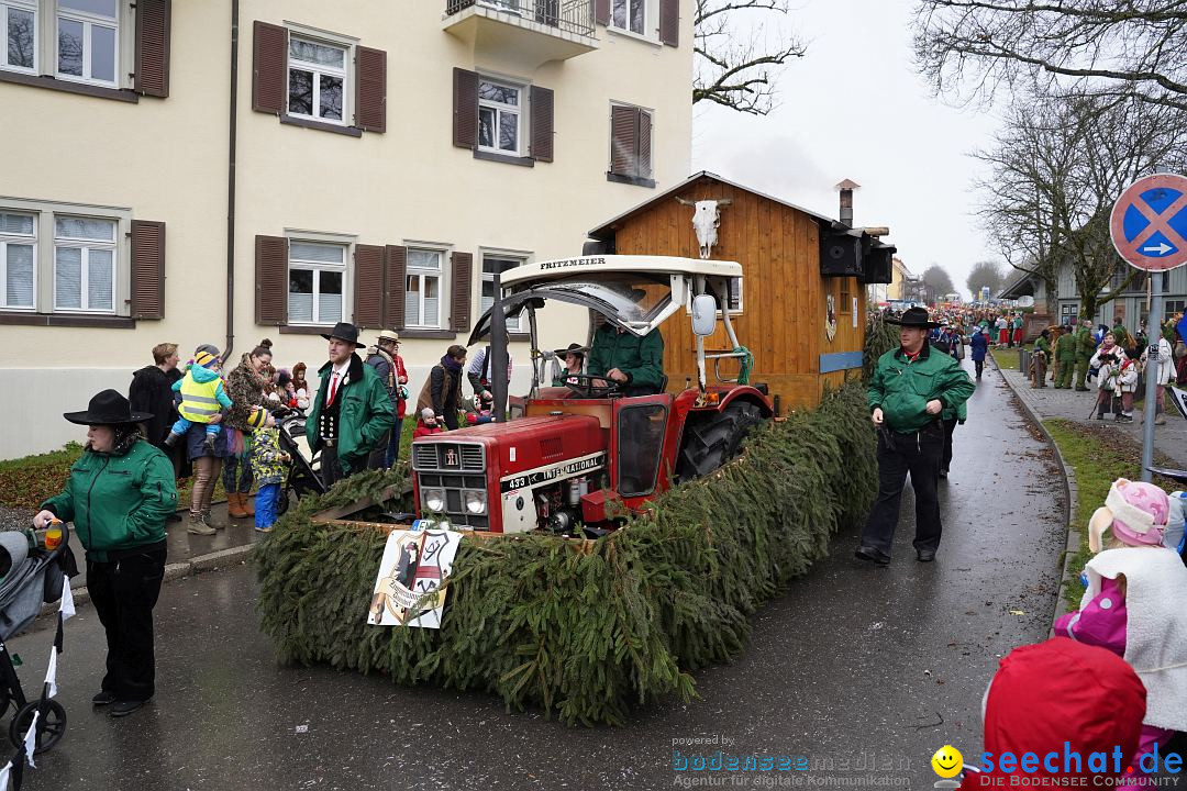 Fasnetsumzug: Heiligenberg am Bodensee, 08.01.2023