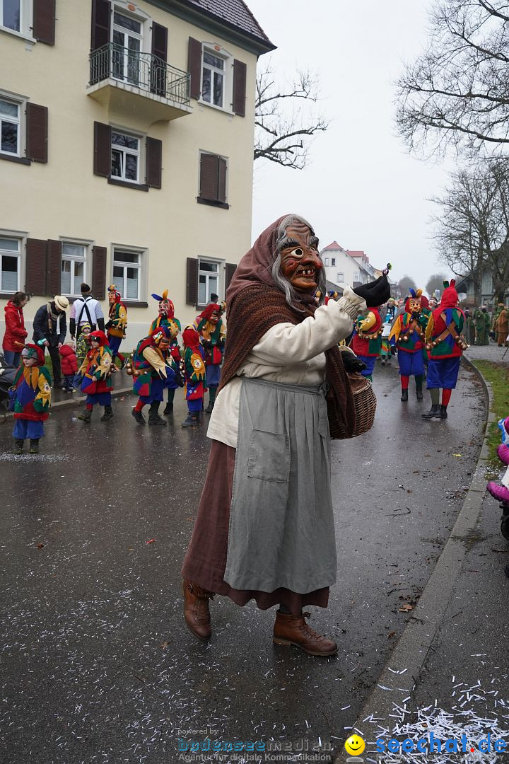 Fasnetsumzug: Heiligenberg am Bodensee, 08.01.2023