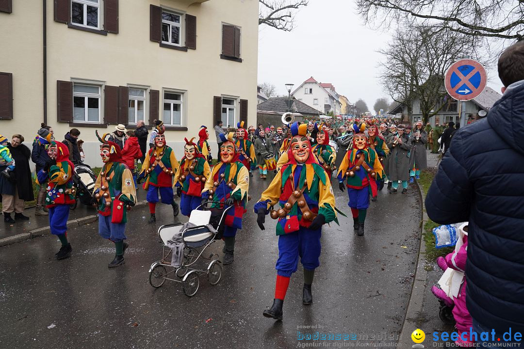 Fasnetsumzug: Heiligenberg am Bodensee, 08.01.2023