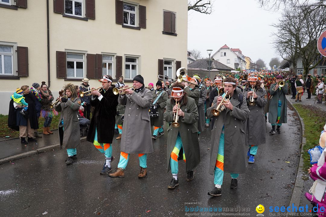 Fasnetsumzug: Heiligenberg am Bodensee, 08.01.2023