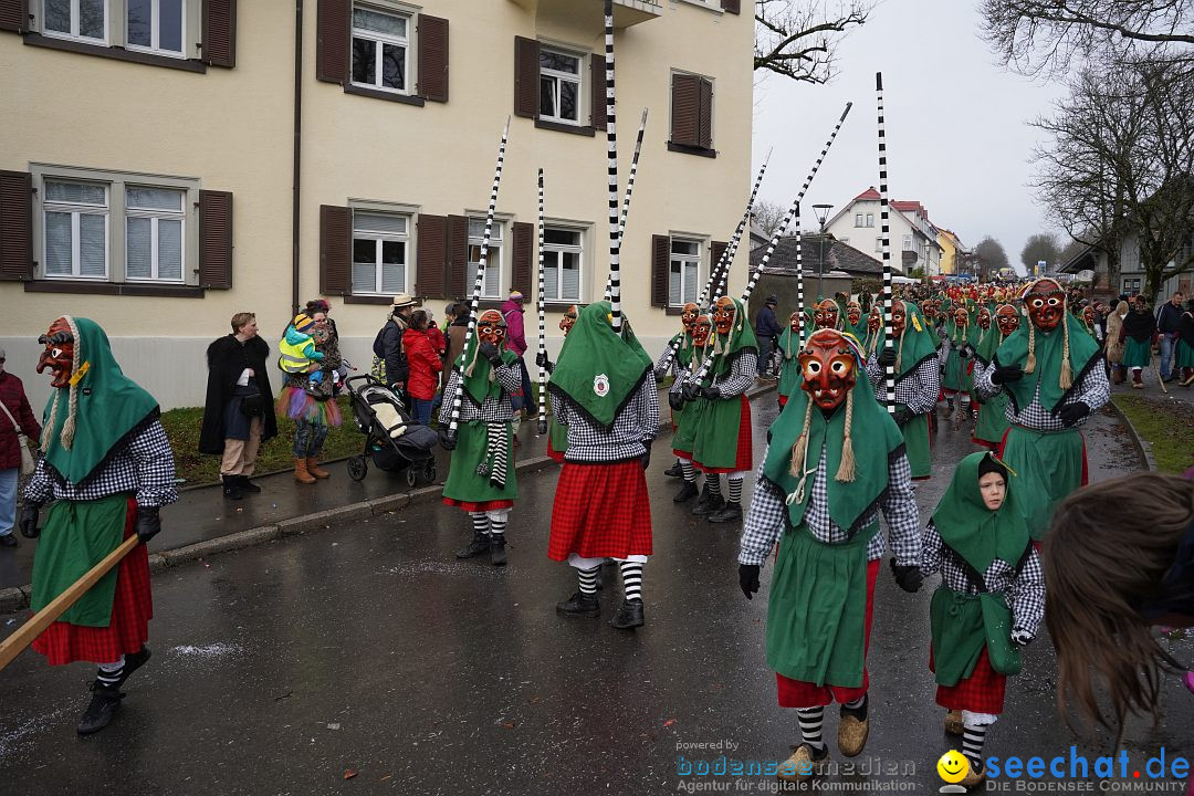 Fasnetsumzug: Heiligenberg am Bodensee, 08.01.2023