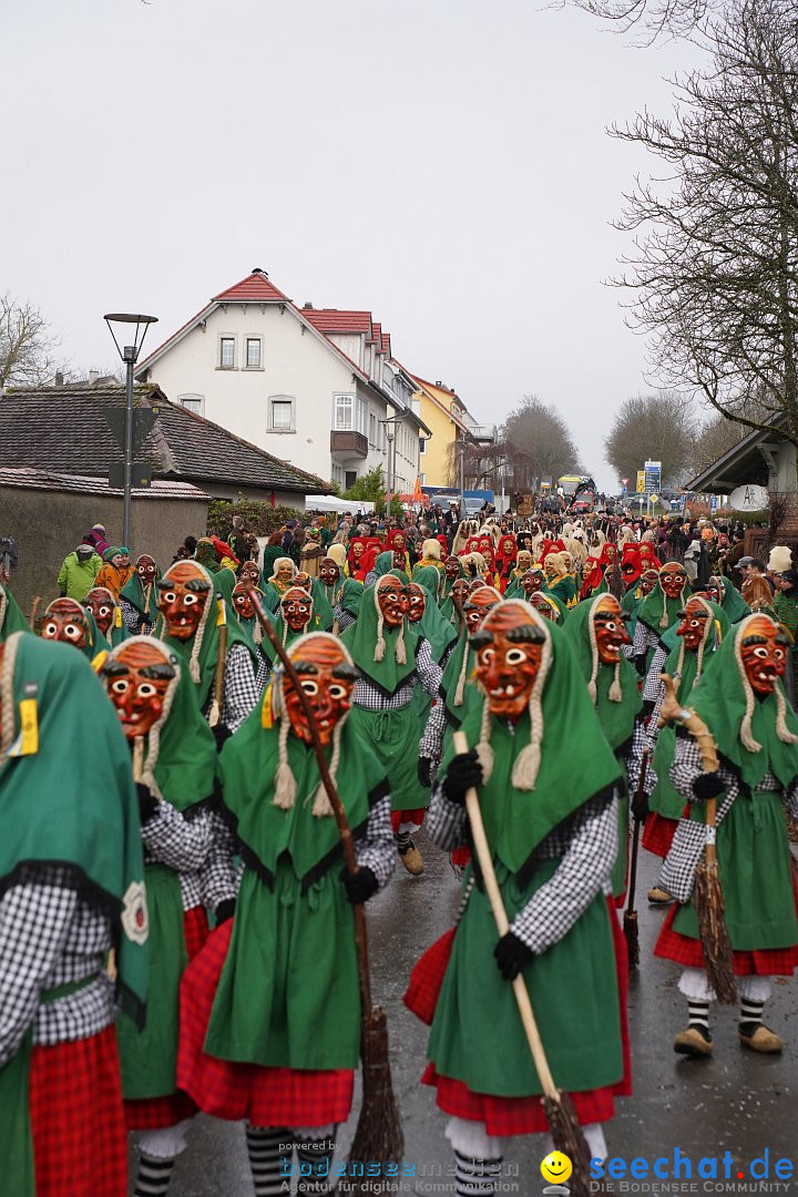 Fasnetsumzug: Heiligenberg am Bodensee, 08.01.2023