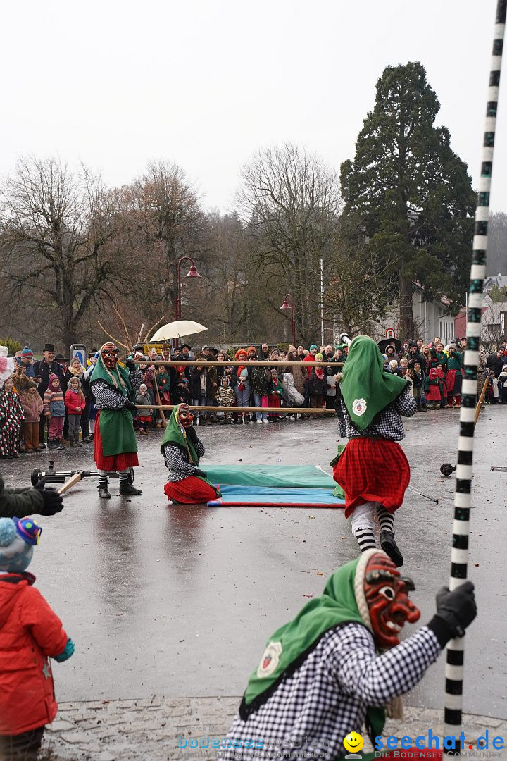 Fasnetsumzug: Heiligenberg am Bodensee, 08.01.2023