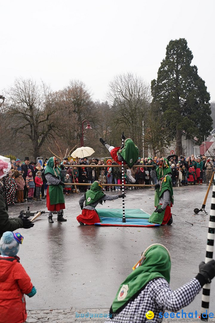 Fasnetsumzug: Heiligenberg am Bodensee, 08.01.2023