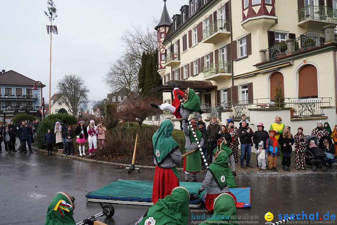 Fasnetsumzug: Heiligenberg am Bodensee, 08.01.2023