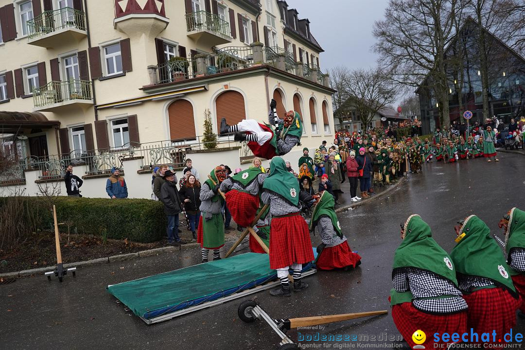 Fasnetsumzug: Heiligenberg am Bodensee, 08.01.2023