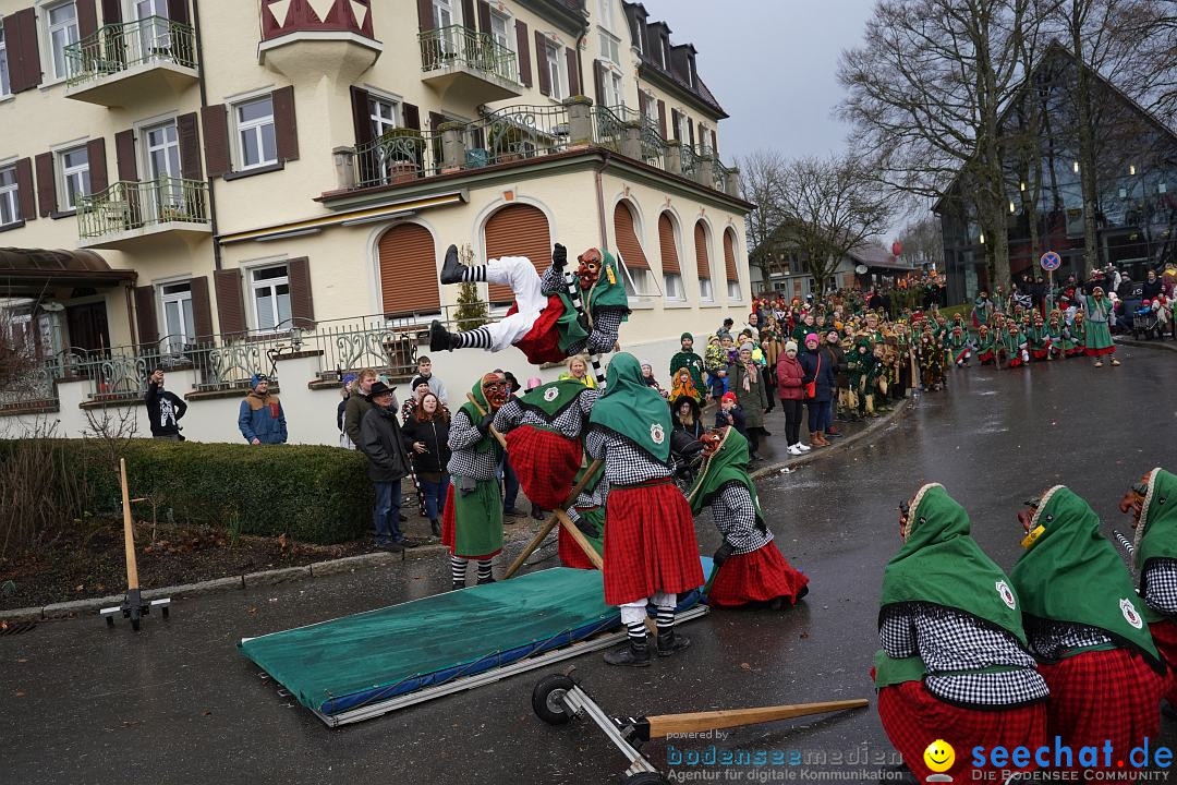 Fasnetsumzug: Heiligenberg am Bodensee, 08.01.2023