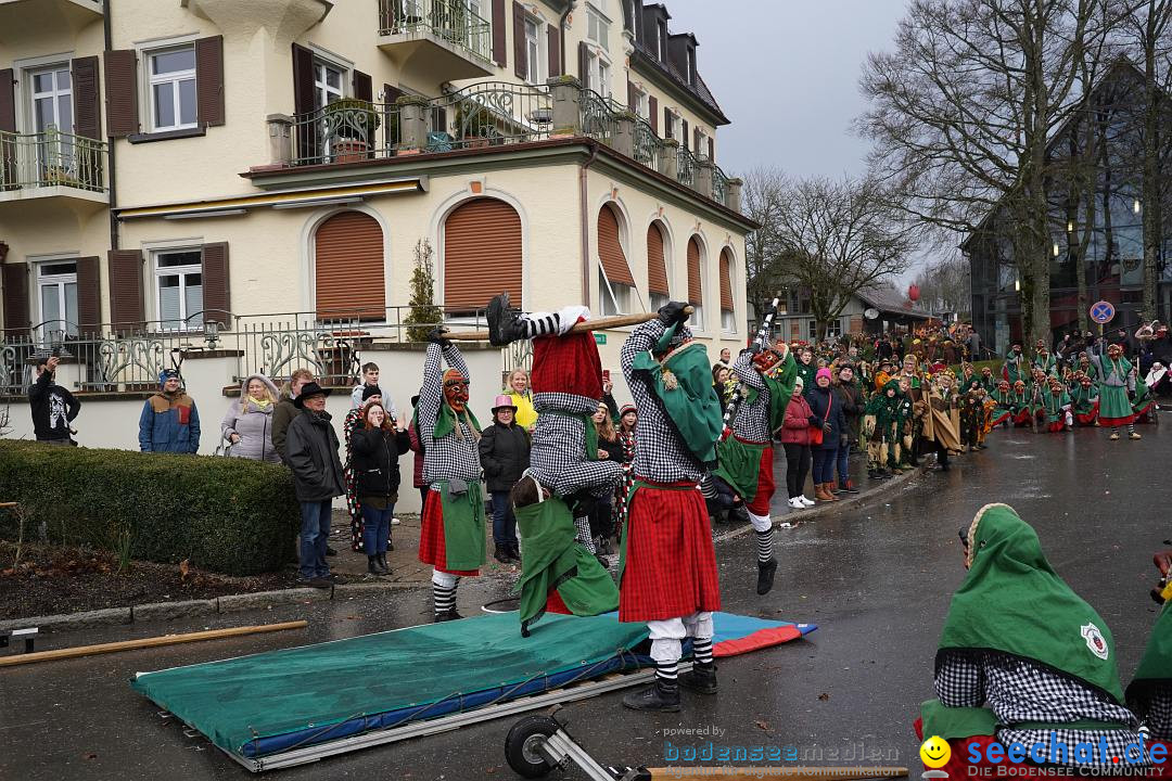 Fasnetsumzug: Heiligenberg am Bodensee, 08.01.2023