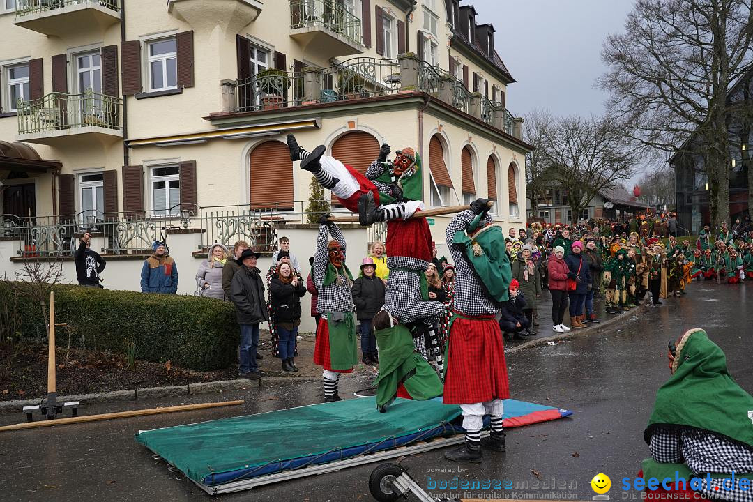 Fasnetsumzug: Heiligenberg am Bodensee, 08.01.2023