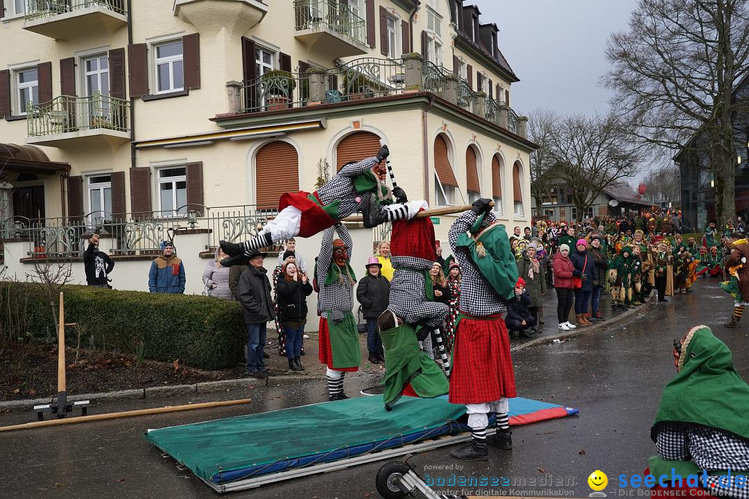 Fasnetsumzug: Heiligenberg am Bodensee, 08.01.2023