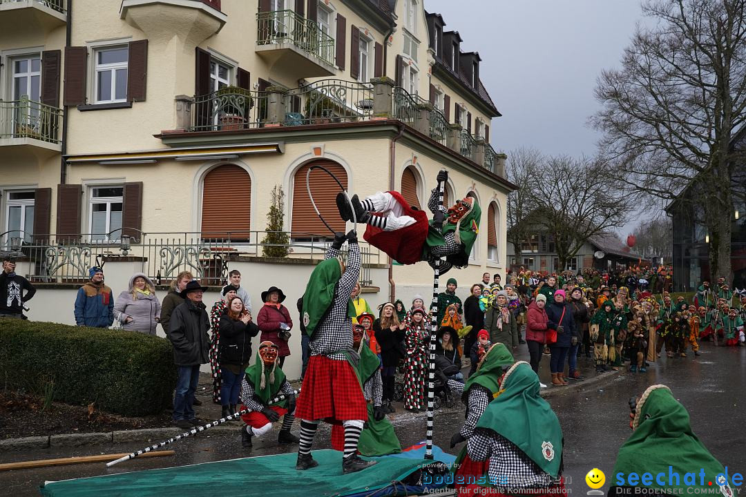 Fasnetsumzug: Heiligenberg am Bodensee, 08.01.2023