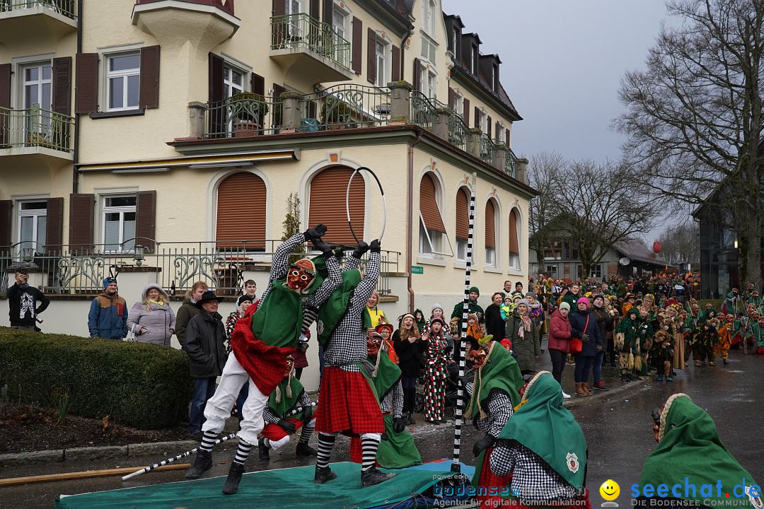 Fasnetsumzug: Heiligenberg am Bodensee, 08.01.2023