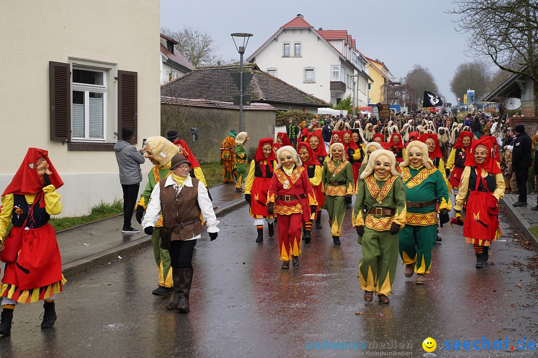 Fasnetsumzug: Heiligenberg am Bodensee, 08.01.2023