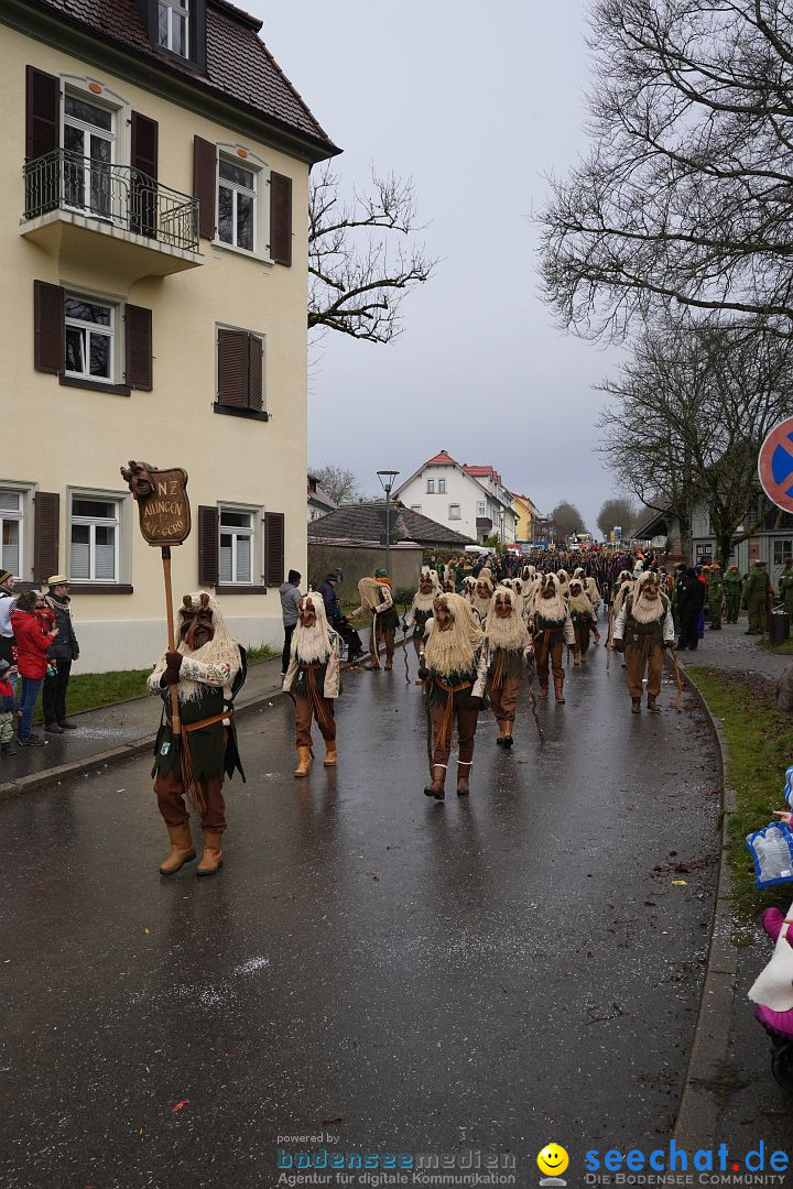 Fasnetsumzug: Heiligenberg am Bodensee, 08.01.2023