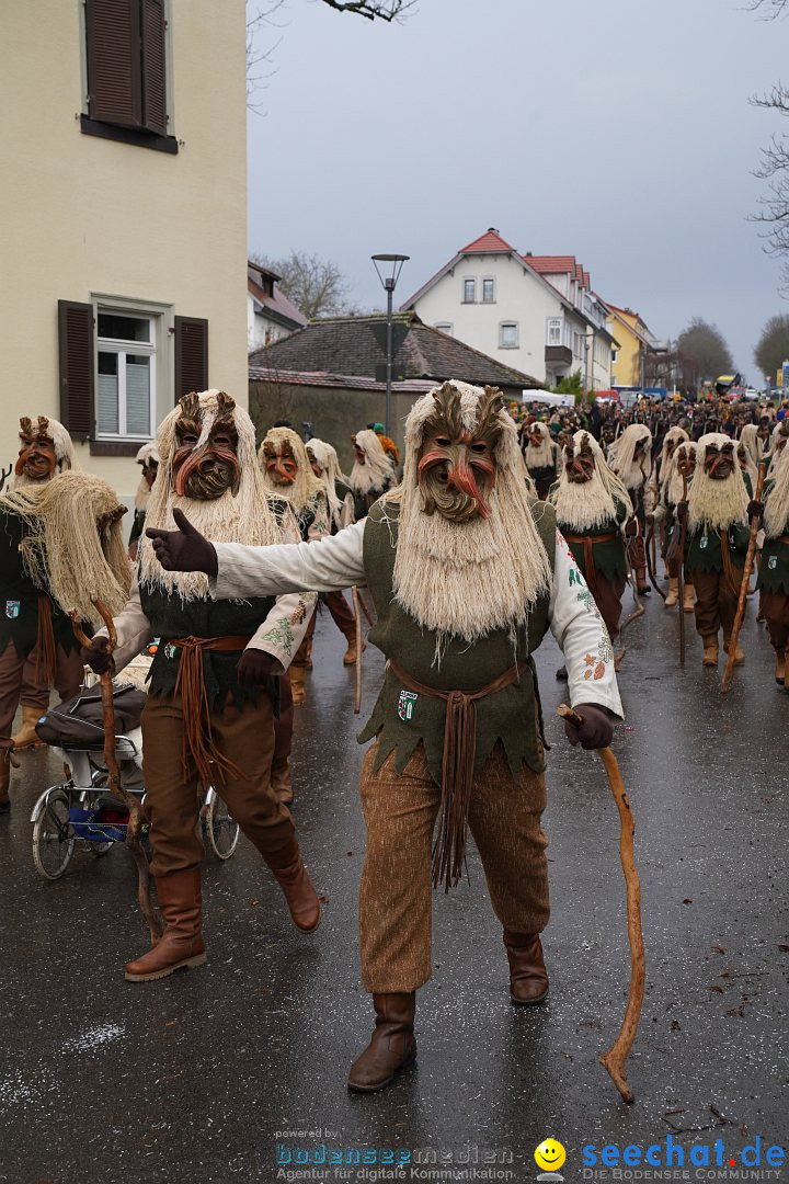 Fasnetsumzug: Heiligenberg am Bodensee, 08.01.2023