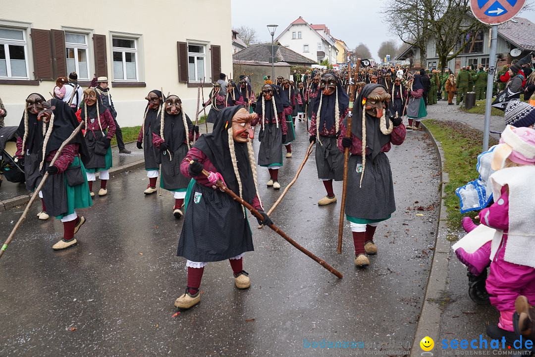 Fasnetsumzug: Heiligenberg am Bodensee, 08.01.2023