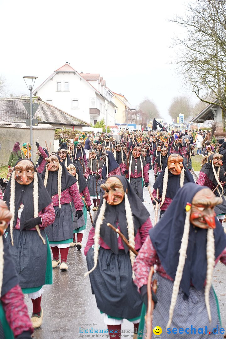 Fasnetsumzug: Heiligenberg am Bodensee, 08.01.2023